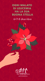 Stelle di Natale 2019